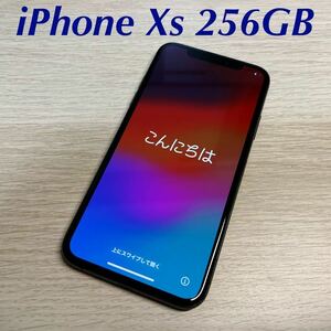 Apple iPhone Xs 256GB SIMフリー スペースグレイ