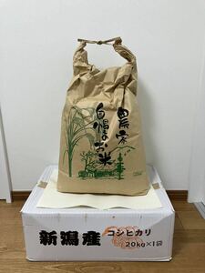 令和5年　新潟県産　コシヒカリ　白米２０ｋｇ　