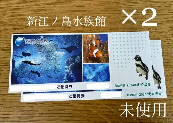 【未使用】新江ノ島水族館 招待券 2枚セット