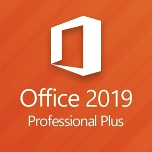 settlement immediately shipping Microsoft Office Professional Plus 2019 [Word Excel Power Point] regular Pro duct key Japanese download certification guarantee 