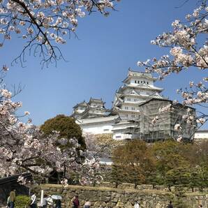 1円即決 フリー画像 当方撮影 姫路城 平成大修理 小天守修復の画像1