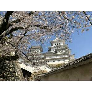 1円即決 フリー画像 フリー素材 当方撮影 姫路城の画像1