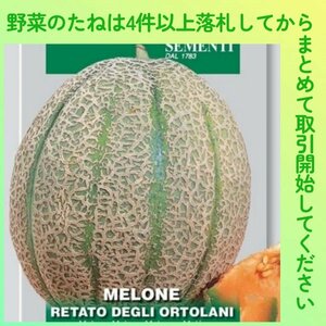 4件以上落札◆メロン種◆オルトラーニRetatoDegliOrtolani 3粒◆固定種イタリアンメロン