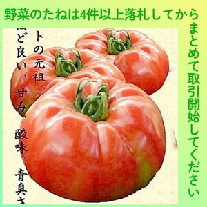 4件以上落札◆トマト種◆ポンテローザ10粒◆固定種 大玉トマト