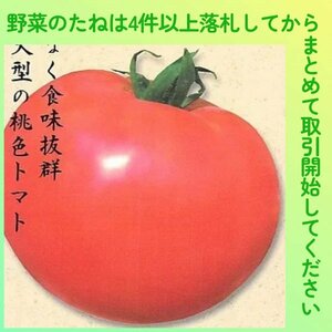 4件以上落札◆トマト種◆世界一トマト10粒◆固定種 大玉トマト