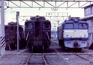 ◆◆ 【写真1枚】 EF15 202 & EF15 185 & ED60 8　竜華機関区　KGサイズ　◆◆