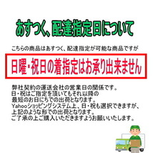 長谷川工業 (ハセガワ) DSL1.0-2709 天板/脚部伸縮足場台 天板長2.7m 高さ0.9m 洗車台 DSL-2709 長谷川工業_画像10