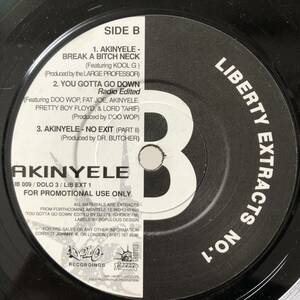 【RAP45】Akinyele - Break A Bitch Neck Various - Liberty Extracts No.1 PROMO 7インチ Dolo Records