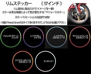 ハセプロ リムステッカー 17インチ 汎用品