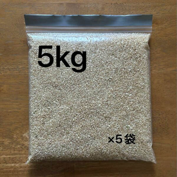 玄米 約5kg 23年度産 令和5年度産