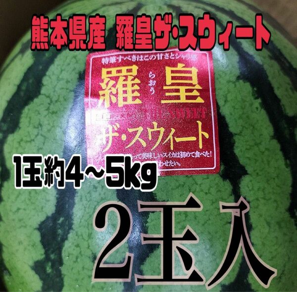 熊本県産 スイカ羅皇ザ･スウィート4～5kg(2玉入)