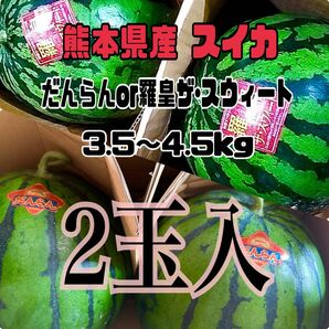 熊本県産 だんらんor羅皇ザ･スウィート3.5～4.5kg(2玉入)