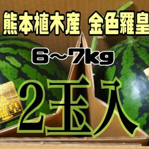 熊本 植木産 スイカ 金色羅皇 2玉入 (1玉約6～7kg)