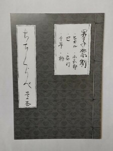 ひかるtoヒカル 1巻 リーフレット 購入特典品