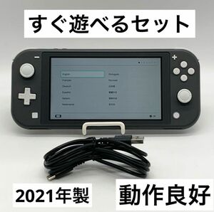 【すぐ遊べるセット】Switch Lite グレー スイッチライト 本体 動作品