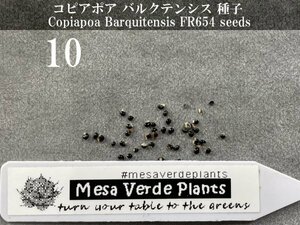 コピアポア バルクテンシス 種子 10粒+α Copiapoa Barquitensis FR654 10 seeds+α 種 サボテン バルクイテンシス