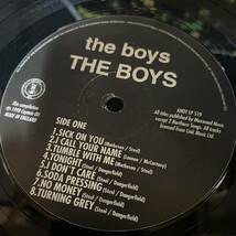 The Boys 『The Boys』 LPレコード （AHOY LP 519） パンク_画像5
