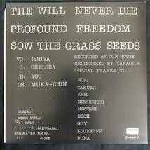 DEATH SIDE 「THE WILL NEVER DIE」 Devour2 BSR-010 国内盤 1994年 デスサイド インサート付き レコード EP_画像2