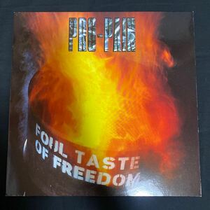 PRO-PAIN 「FOUL TASTE OF FREEDOM」 RR9068-1 オランダ盤 ハードコア レコード LP