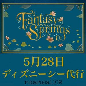 5月28日 ディズニーシー 代行 ファンタジースプリングス FS アナ雪 エルサ ラプンツェル ピーターパン ティンカーベル ぬいば 代理購入