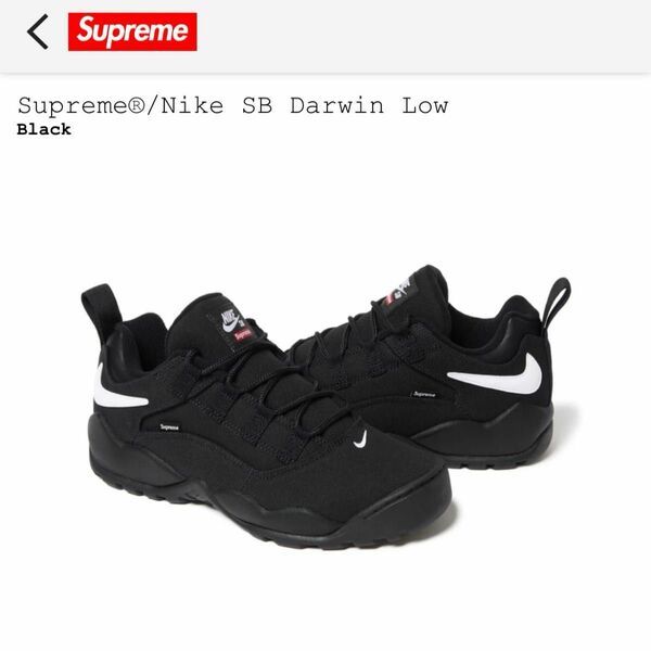 Supreme × Nike SB Darwin Low "Black"シュプリーム × ナイキ SB ダーウィン ロー 