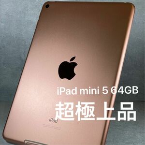 iPad mini 第5世代　64GB Wi-Fi ゴールド