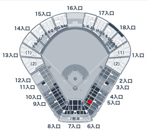 5/10（金）ヤクルト 対 巨人 1塁側 SS指定席（1枚）神宮球場 QRチケット