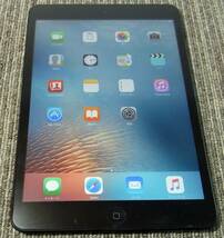 YI オ5-106 Apple au iPad mini（第1世代） Cellular 16GB ブラック&スレート MD540J/A 中古_画像1