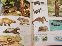 1989年49刷　動物の図鑑　小学館　学習百科図鑑　昭和　当時物　/C_画像3