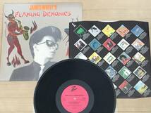 James White - James White's Flaming Demonics LP james chance contortions_画像4