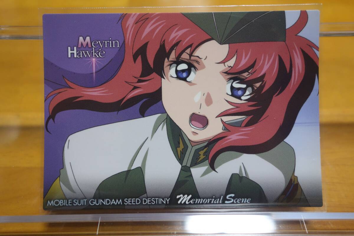 Amazon | 機動戦士ガンダムSEED DESTINY シードヒロインズ