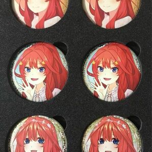 五等分の花嫁　横浜アリーナ限定　缶バッチ　五月セット