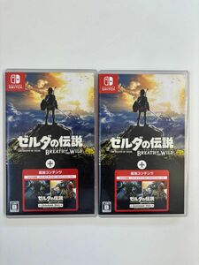 【Switch】 ゼルダの伝説 ブレス オブ ザ ワイルド ＋ エキスパンションパス 通常版 2本セット スイッチ ソフト