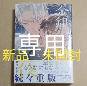 専用　金銀ささめくひみつは夜　野白ぐり　新品　未開封　未読品　サイレントノイズ