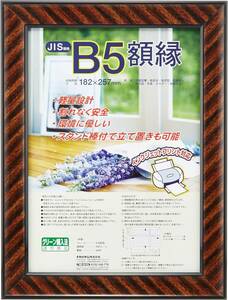 ナカバヤシ 木製軽量額縁 金ラック B5(JIS規格) フ-KWP-11 [オフィス用品]