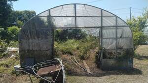 2. used plastic greenhouse dismantlement taking over possible person 