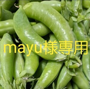 mayu様専用です