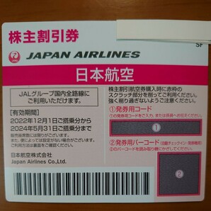 日本航空 JAL 株主割引券 1枚 ～2024/5/31 (送料無料) の画像1