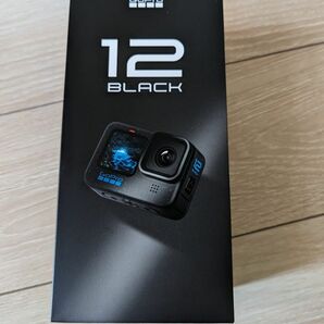 GoPro HERO 12 Black CHDHX-121-FW BK