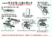 苔台の使い方