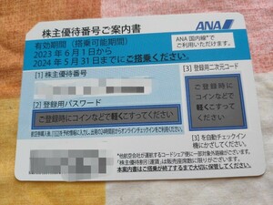ANA 全日空 株主優待券 1枚 2024年5月31日まで