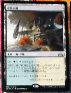 2025年最新】Yahoo!オークション -mtg 寺院の庭の中古品・新品 2025年最新】Yahoo!オークション -mtg 寺院の庭の中古品・新品