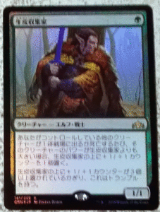 ＭTG/日本語/foil/生皮収集家/ラヴニカのギルド/レア