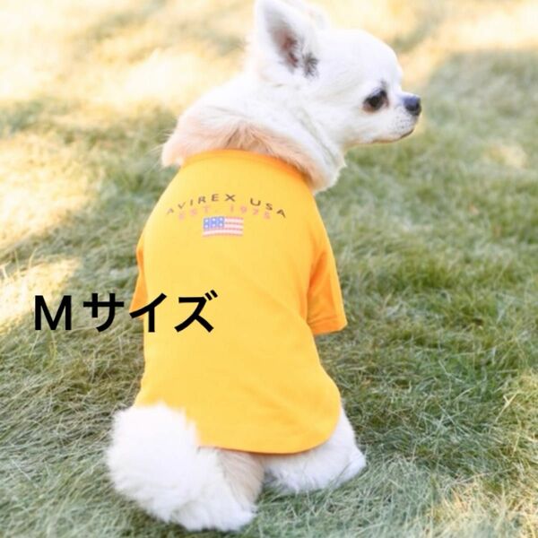 【新品】AVIREX ブロックロゴＴＥＥ　犬服 ドッグウェア　サイズM イエロー