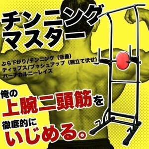 送料無料 チンニングマスター ぶら下がり健康器 懸垂 健康器具 エクササイズ ジム 筋トレ フィットネス トレーニング 背筋 マルチジム