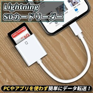 ★Lightning SDカードカメラリーダー iPhone iPad 専用 高速な写真転送 iPhone SDカードリーダー