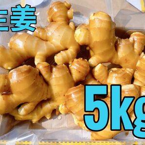 生姜5kg