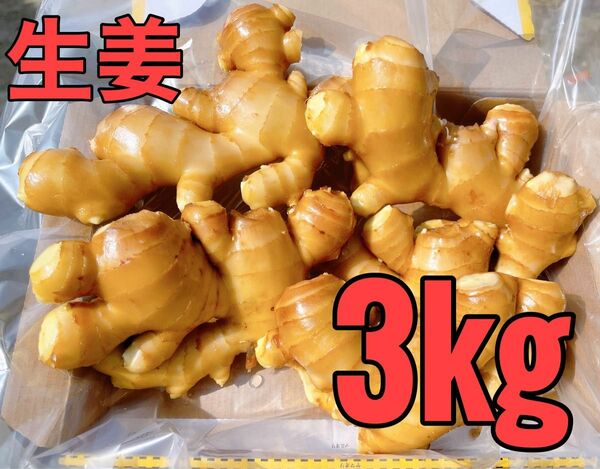 生姜3kg