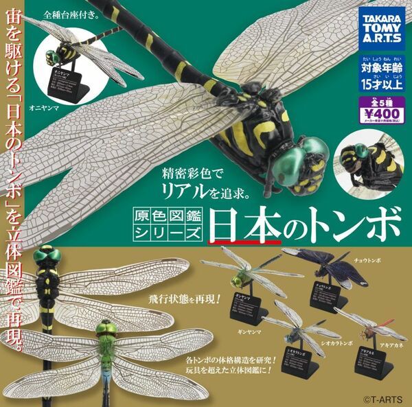 原色図鑑シリーズ 日本のトンボ 全５種類 新品 ガチャ カプセルトイ 立体図鑑