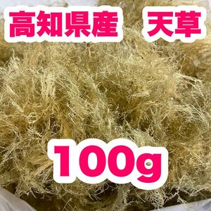 高知県産　白緑さらし天草　100g ところてん　寒天　天然テングサ　自然食品